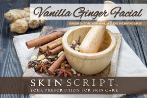 Skin Script Vanilla Ginger Facial