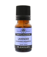 Plantlife Essential Oil- Lavender 10ml Photo