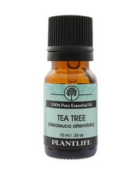Plantlife Essential Oil - Tea Tree 10ml Photo