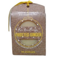 Plantlife Frosted Ginger Soap 4.5oz Photo