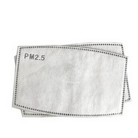 PM 2.5 CARBON REPLACEMENT FILTERS | 10PC. Photo