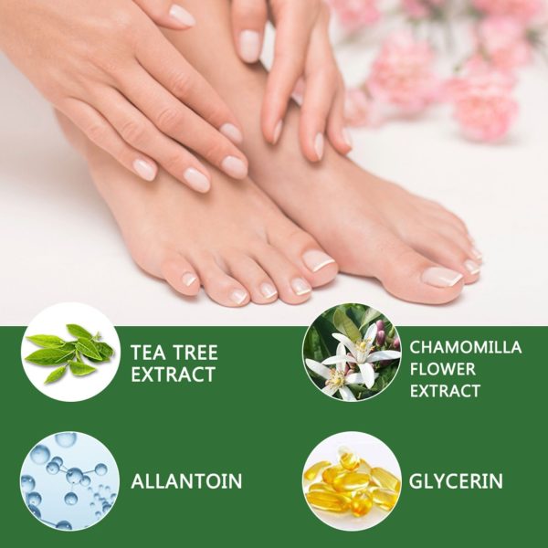 Premier Lash Tea Tree Foot Peel Mask- 5pk - Image 3